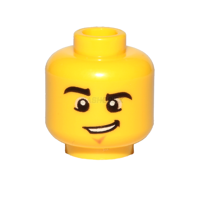 LEGO Minifigure Part - Head, Male, Raised Eyebrow, Crooked Smile [3626cpb0857]