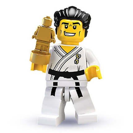 LEGO Collectable Minifigures - Karate Master (14 of 16) [Series 2]