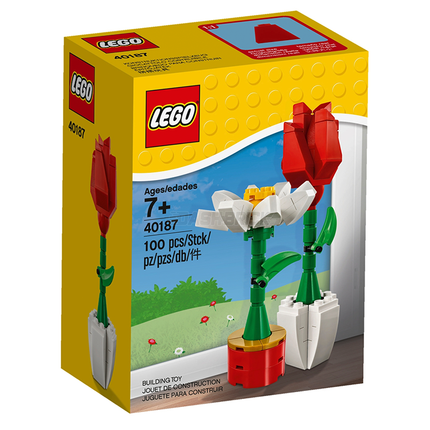 LEGO® Flower Display, Rose & Daisy [40187]